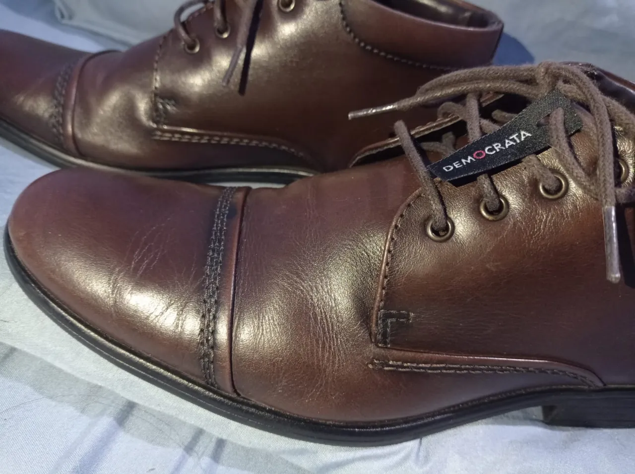 Borcegos Demócrata - Vista 7