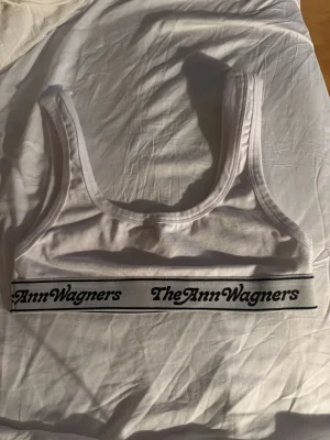 The Ann Wagners
