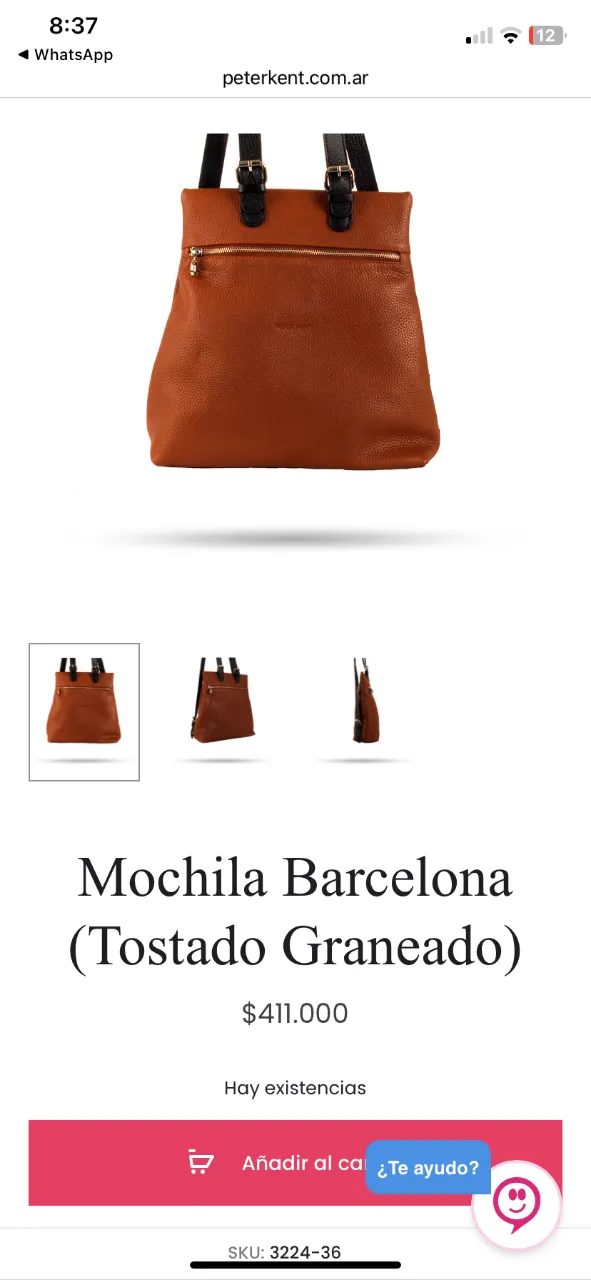Mochila Peter kent - imagen 6