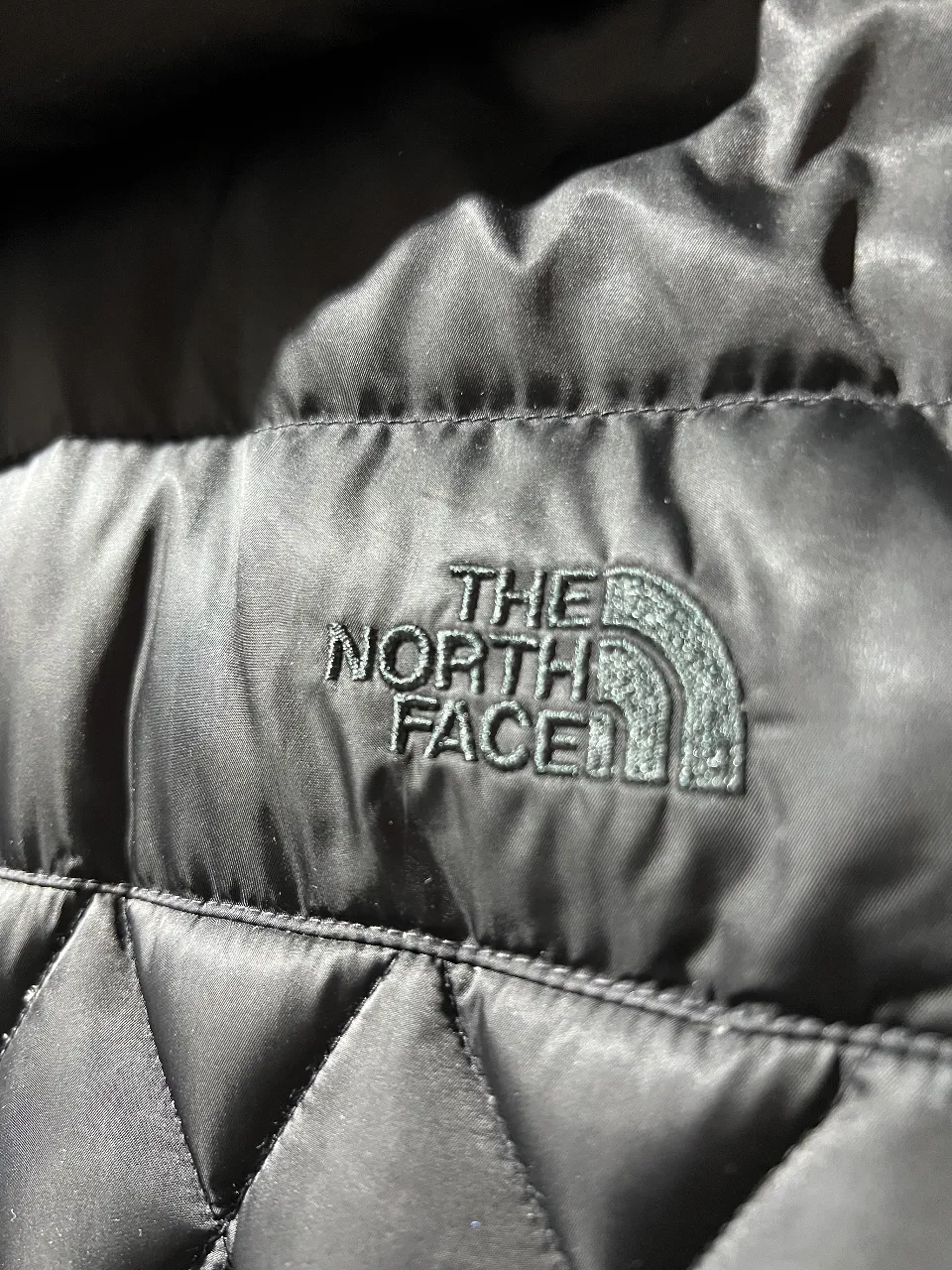 Campera The North Face - imagen 4