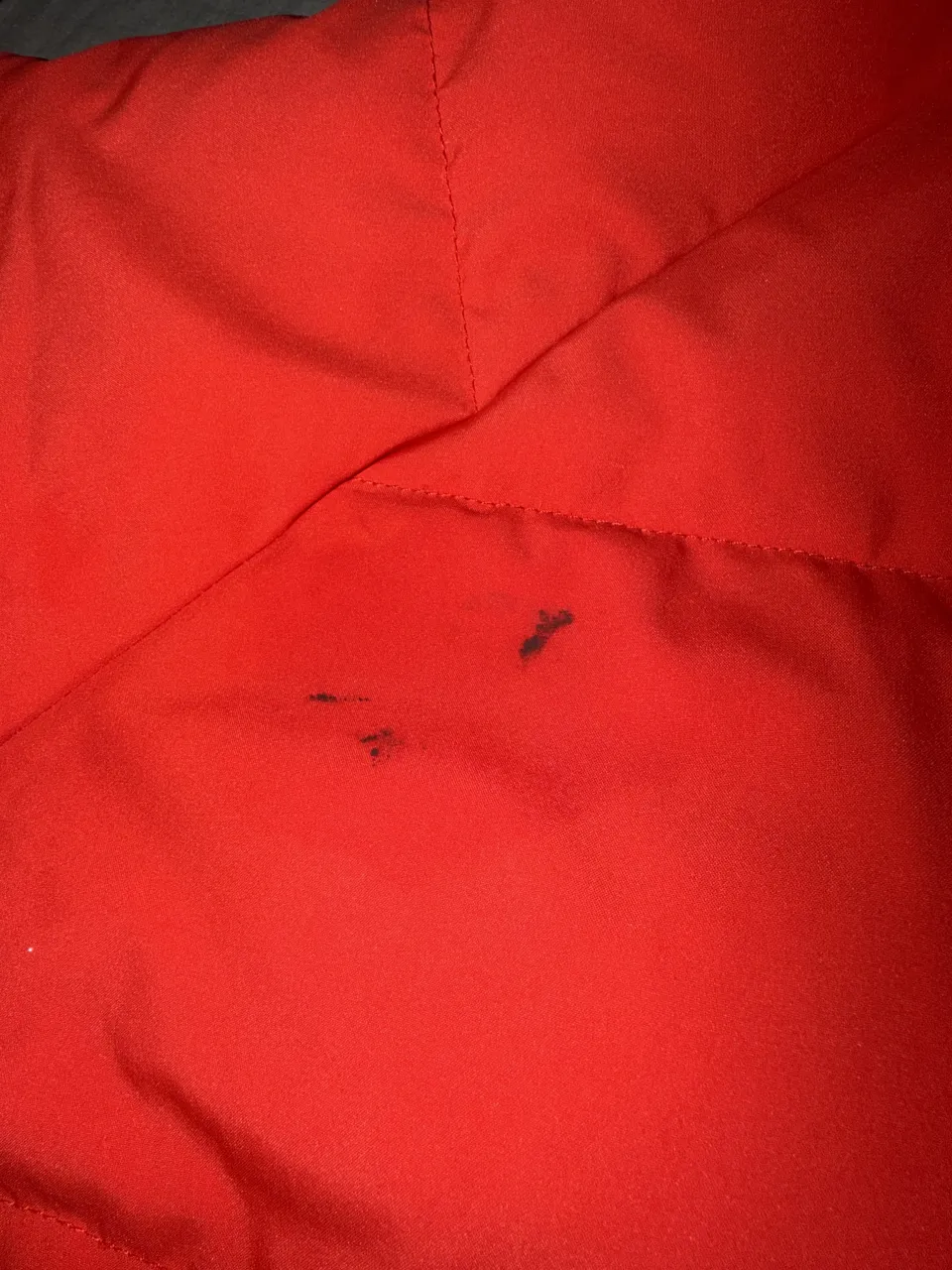Campera Lacoste - imagen 5