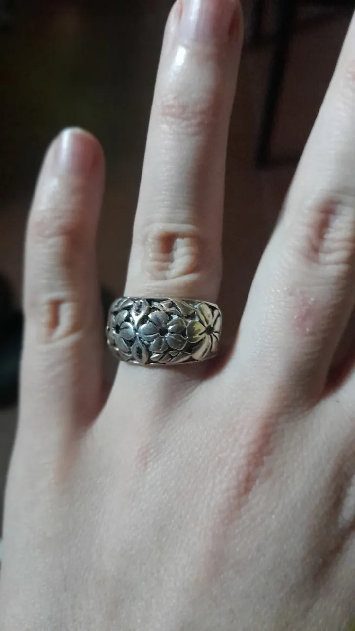 Anillo Otra - imagen 4