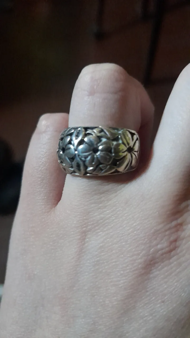 Anillo Otra - imagen 1