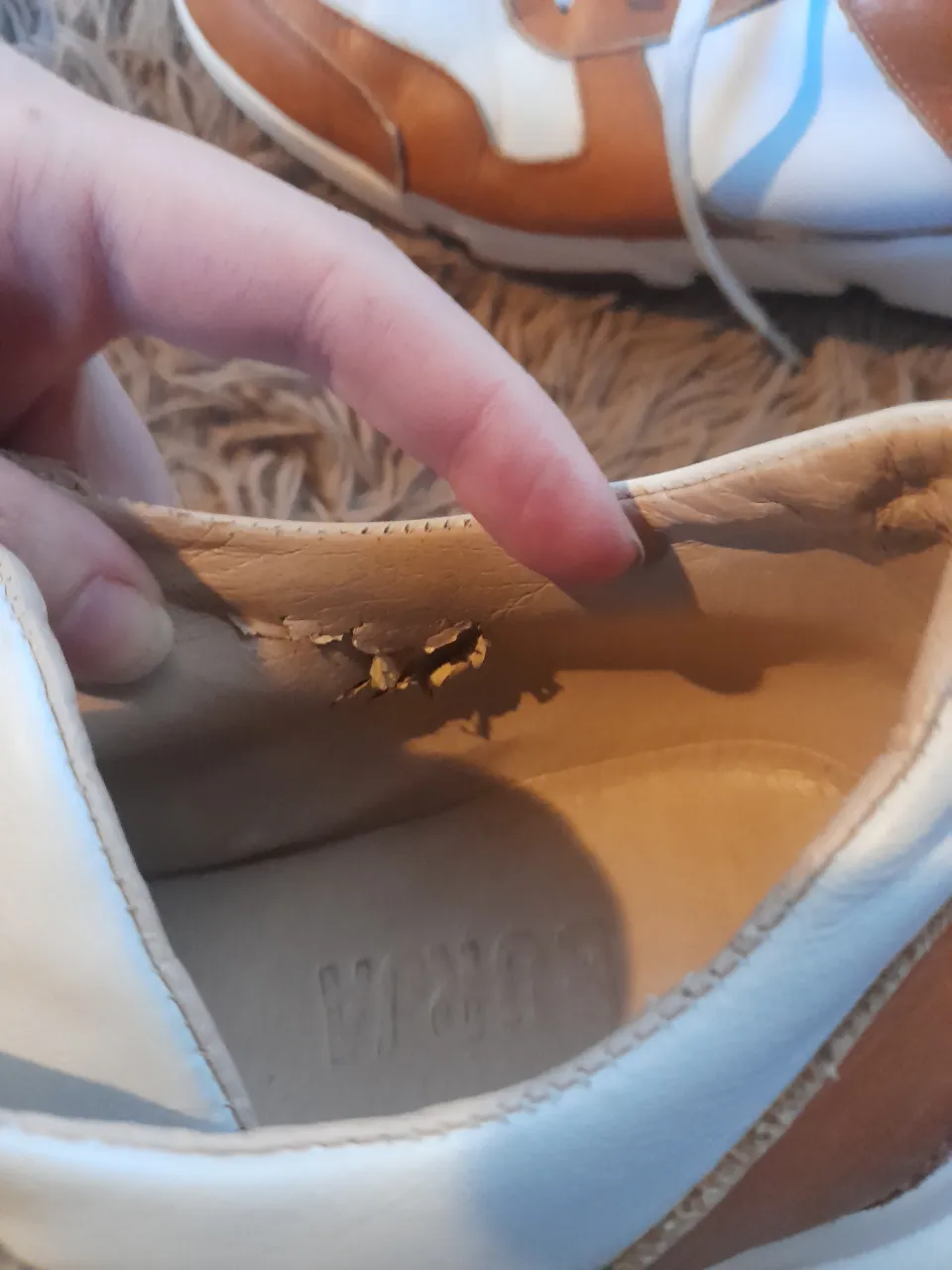 Zapatillas Borja - imagen 6