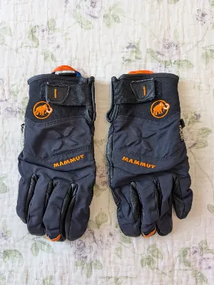 Mammut
