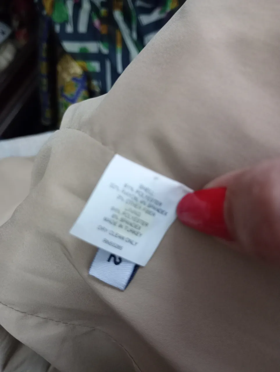 Blazer Express disang - imagen 4