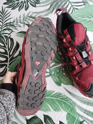 Salomon
