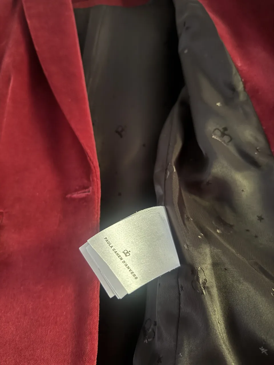 Blazer Paula Cahen D'Anvers - imagen 4