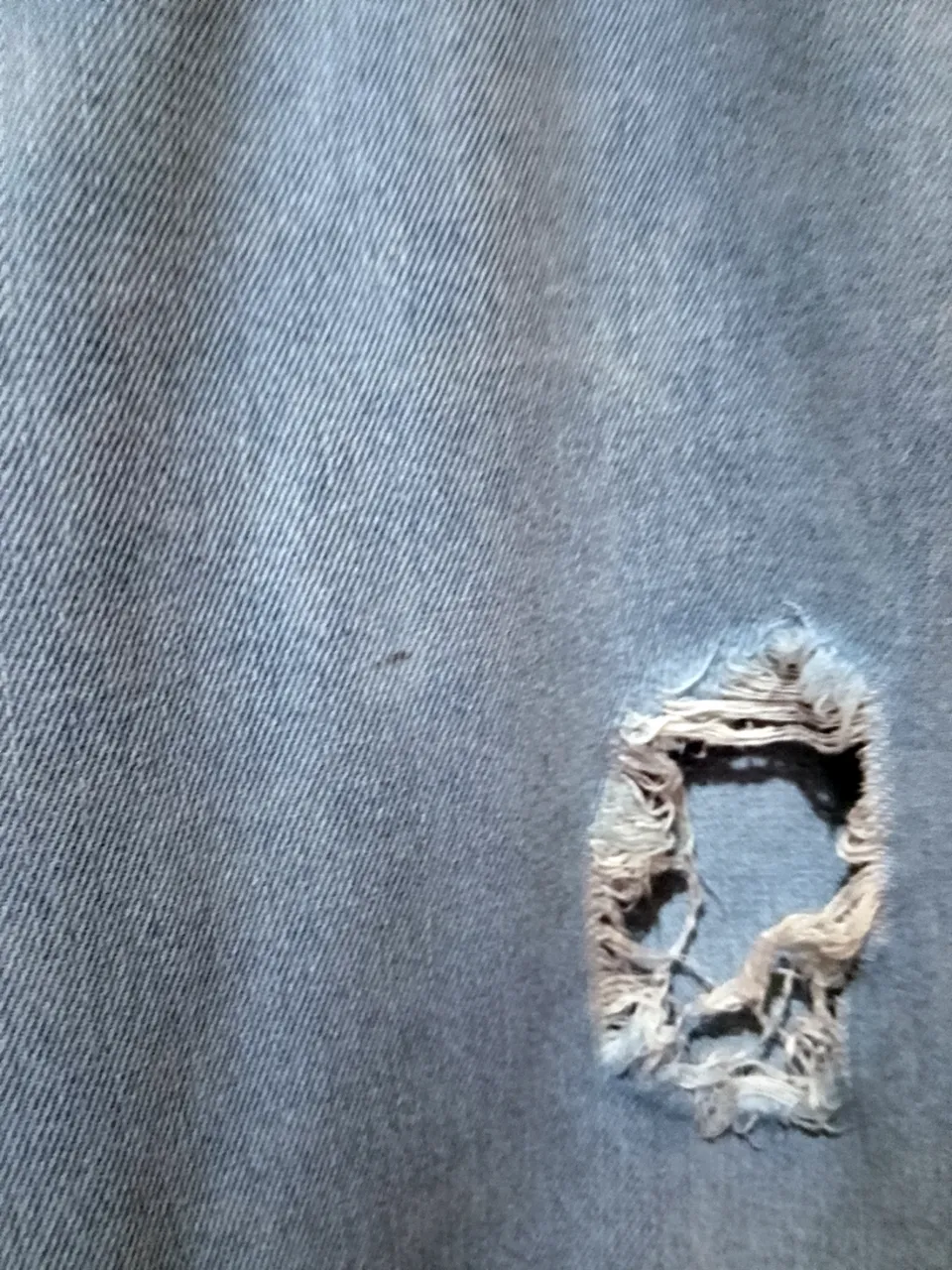Jean Freres - imagen 3