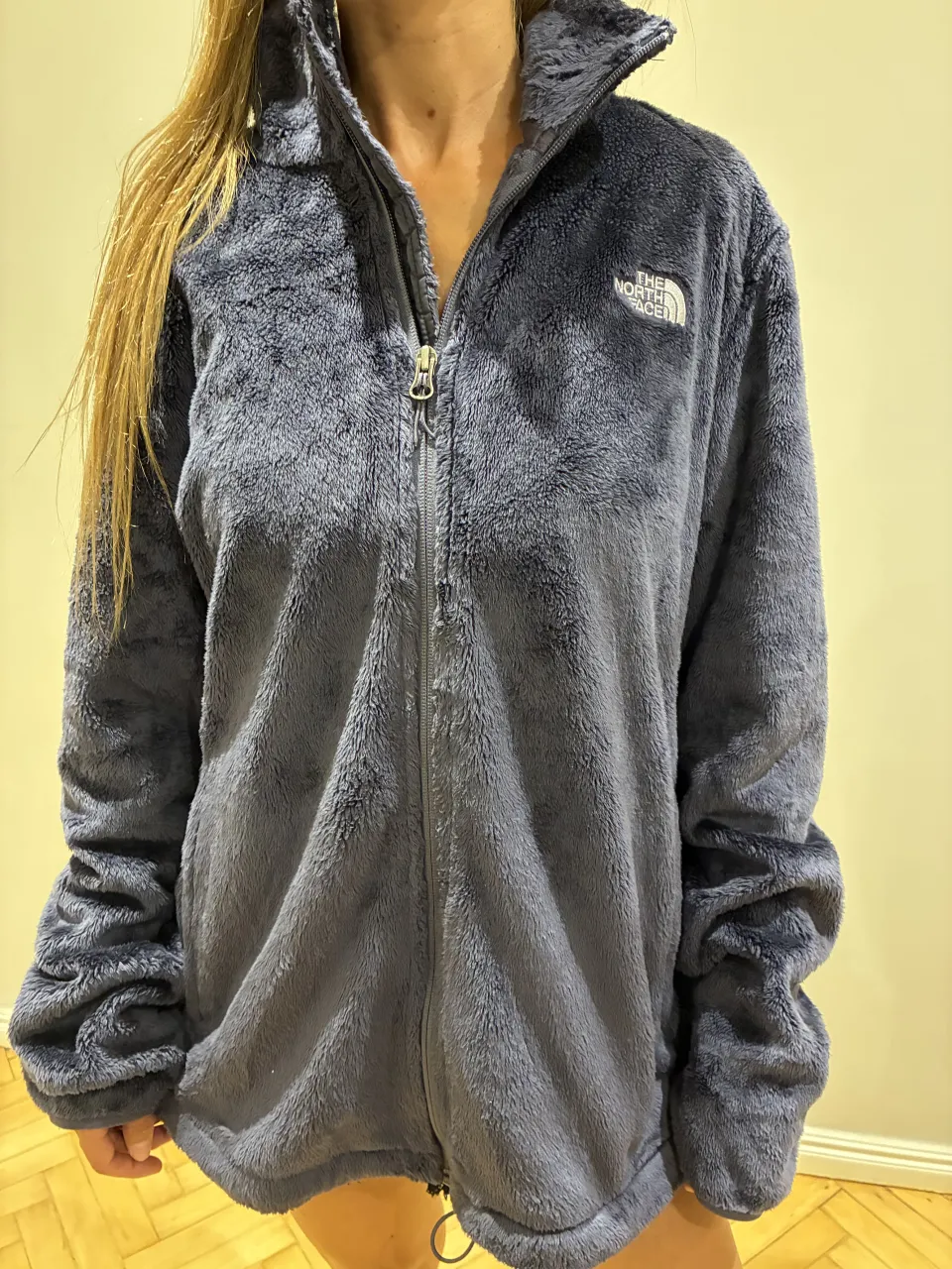 Buzo The North Face - imagen 1