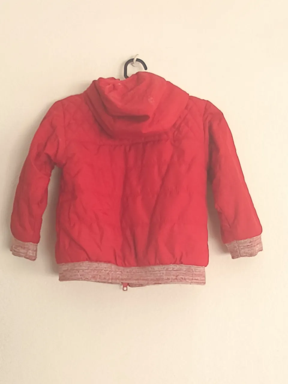 Campera bomber Minimimo - imagen 8