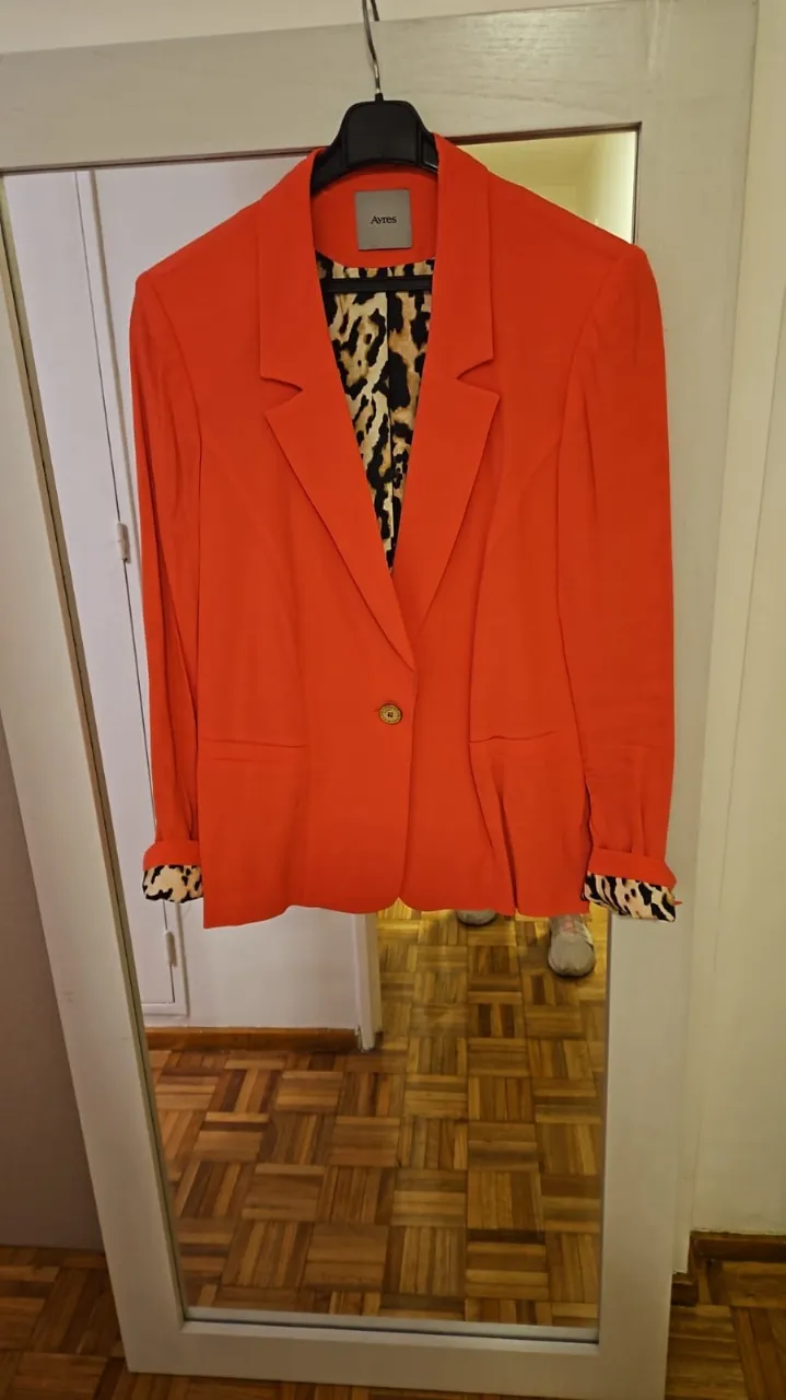 Blazer Ayres - imagen 1