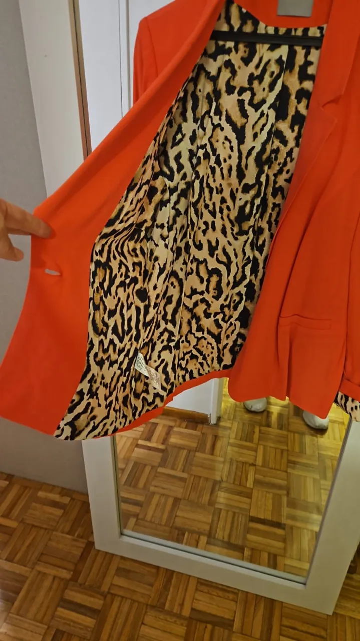 Blazer Ayres - imagen 2