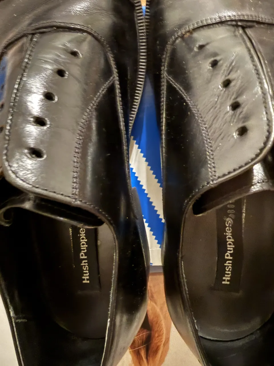 Zapatos Hush Puppies - imagen 2