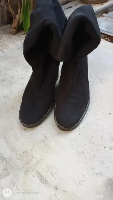 Zapato