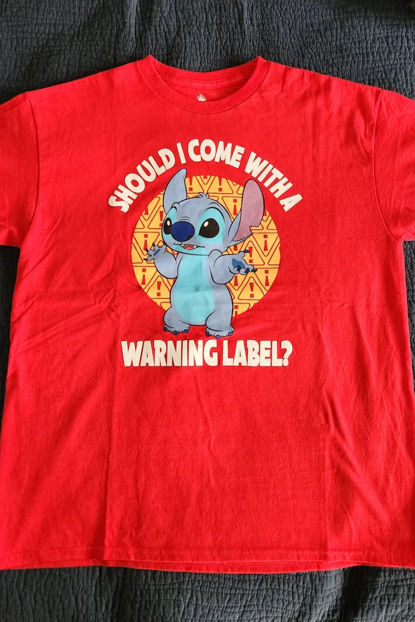 Remera Disney - imagen 2