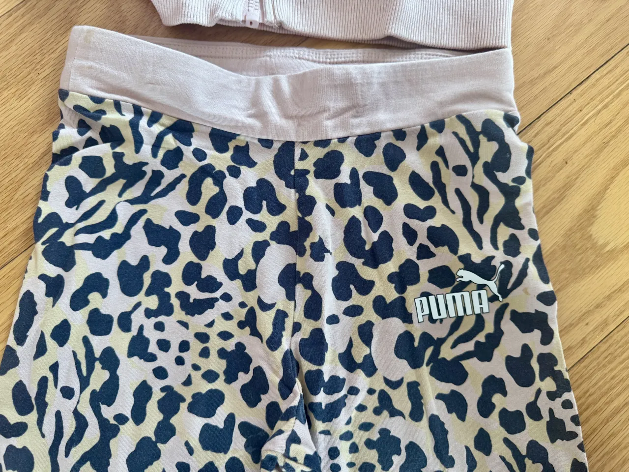 Conjunto Puma - imagen 4