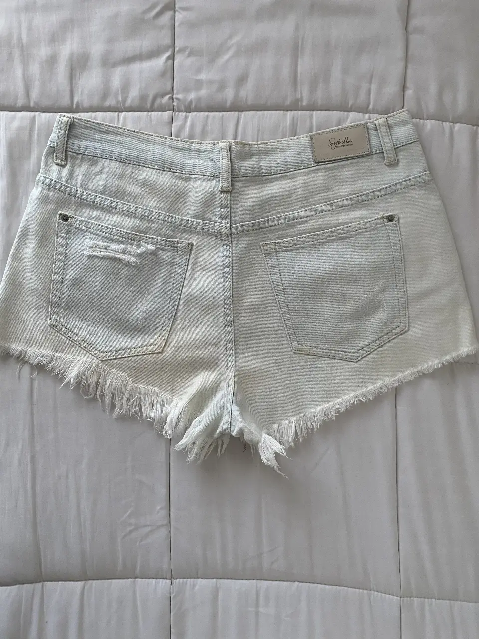 Short Sybilla - imagen 2