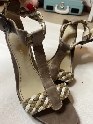 Sarkany