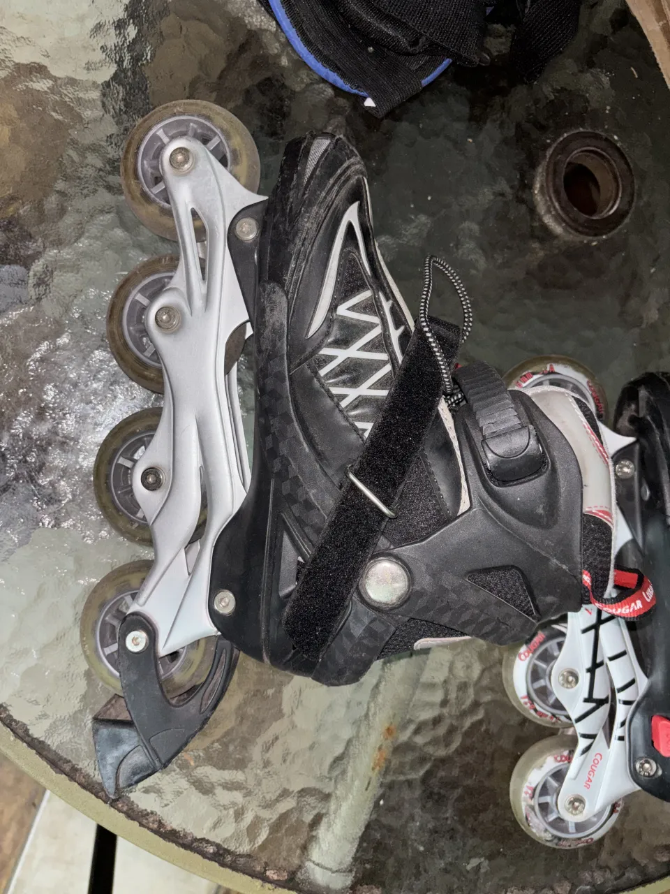 Zapatillas Cougar sport - imagen 2
