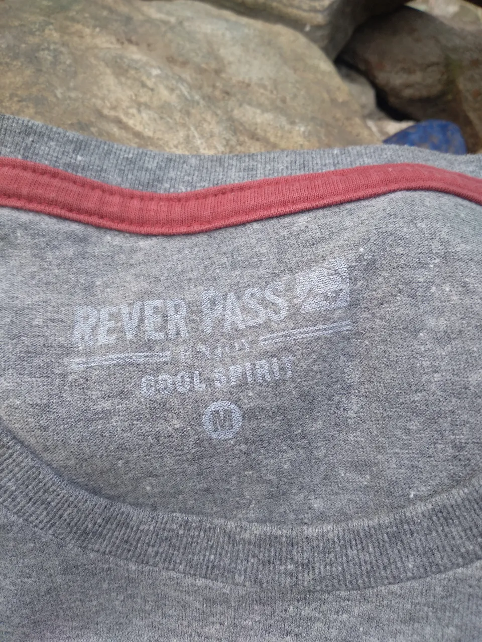 Remera Rever Pass - imagen 2