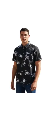 Hollister
