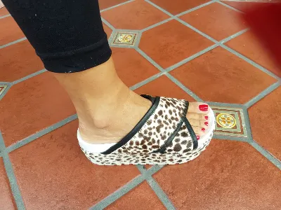Sarkany