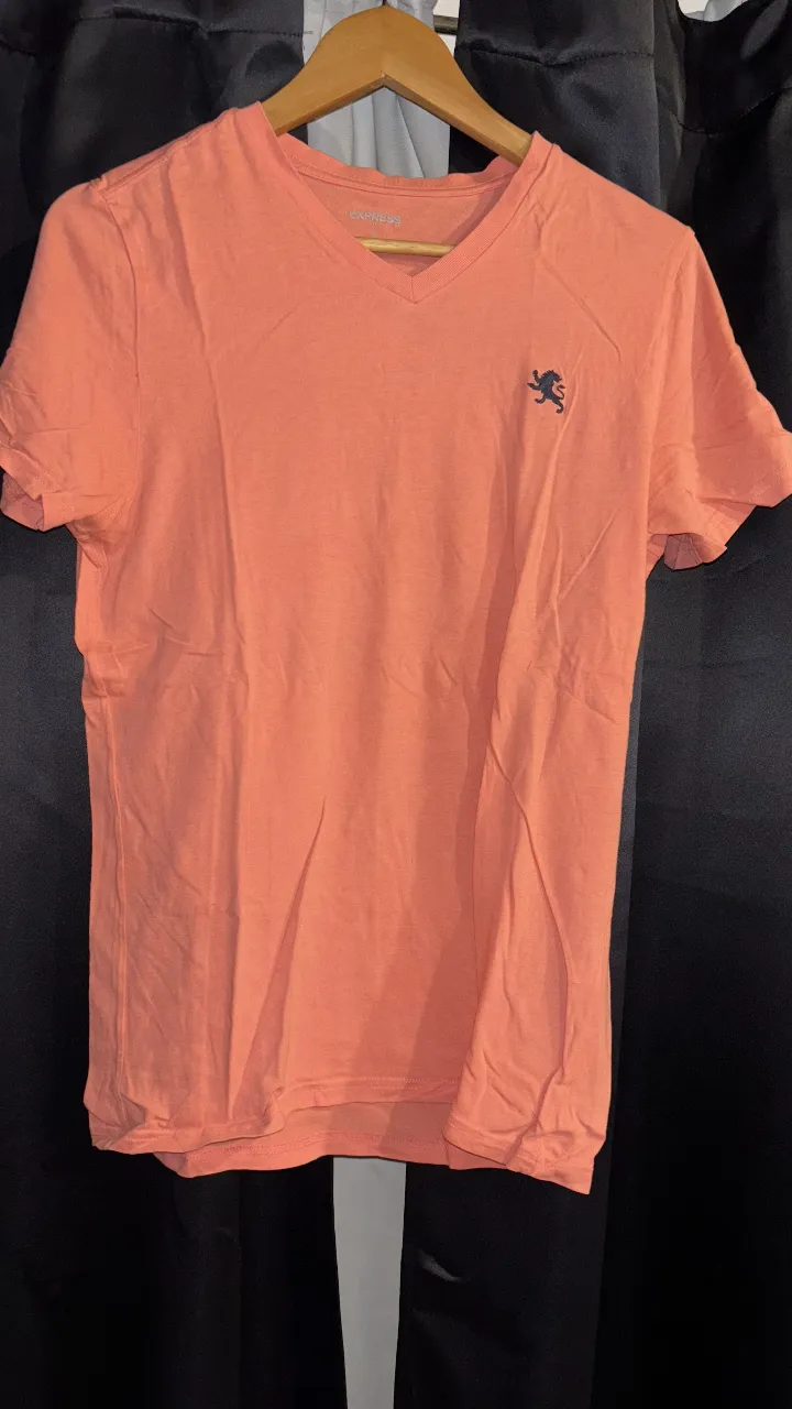Remera Express - imagen 1