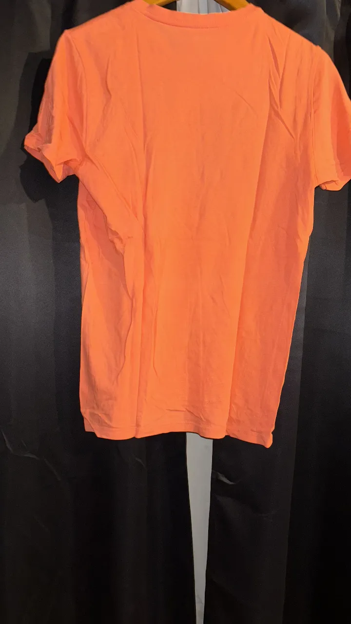 Remera Express - imagen 2