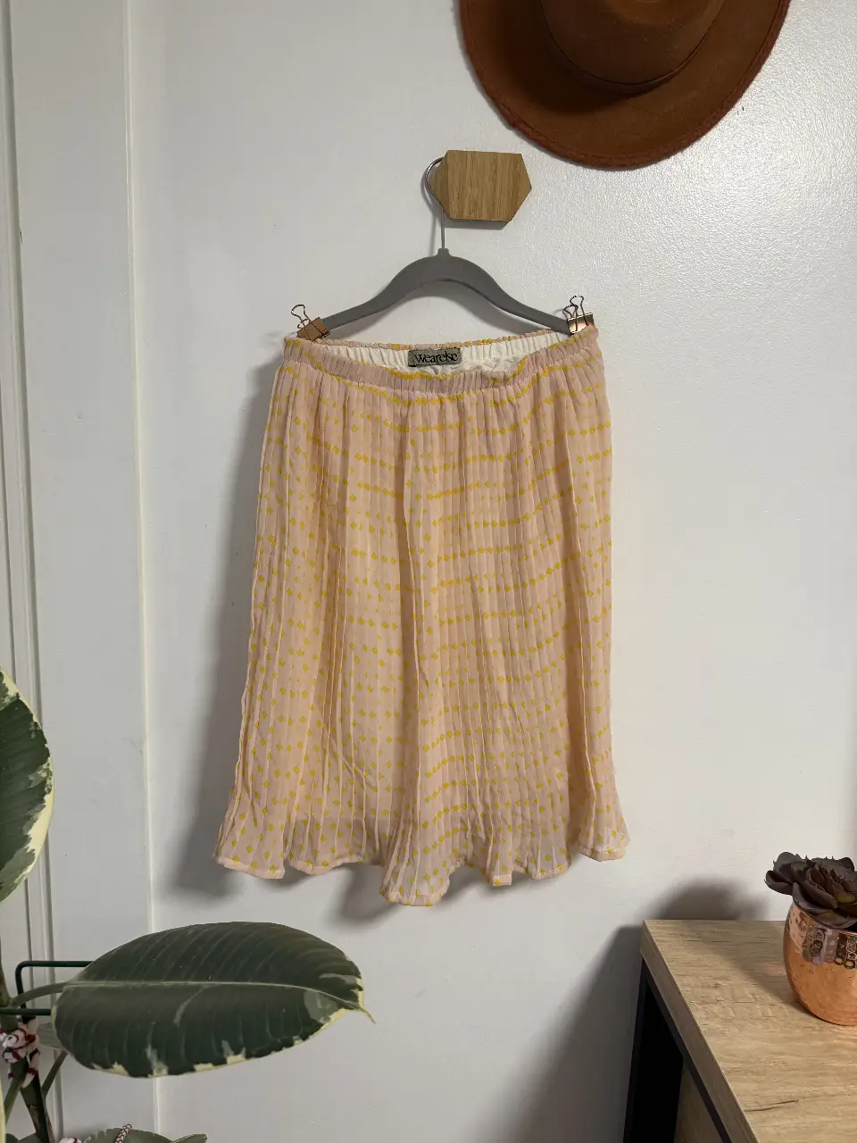 Pollera Generic