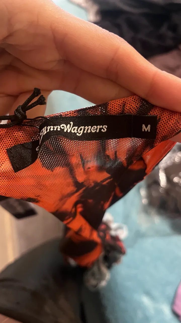 Top The Ann Wagners - imagen 2