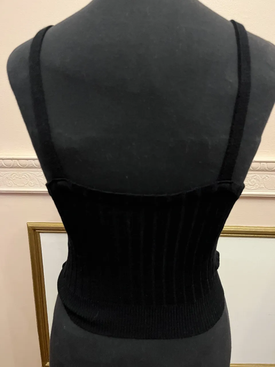 Musculosa Tejido - imagen 2