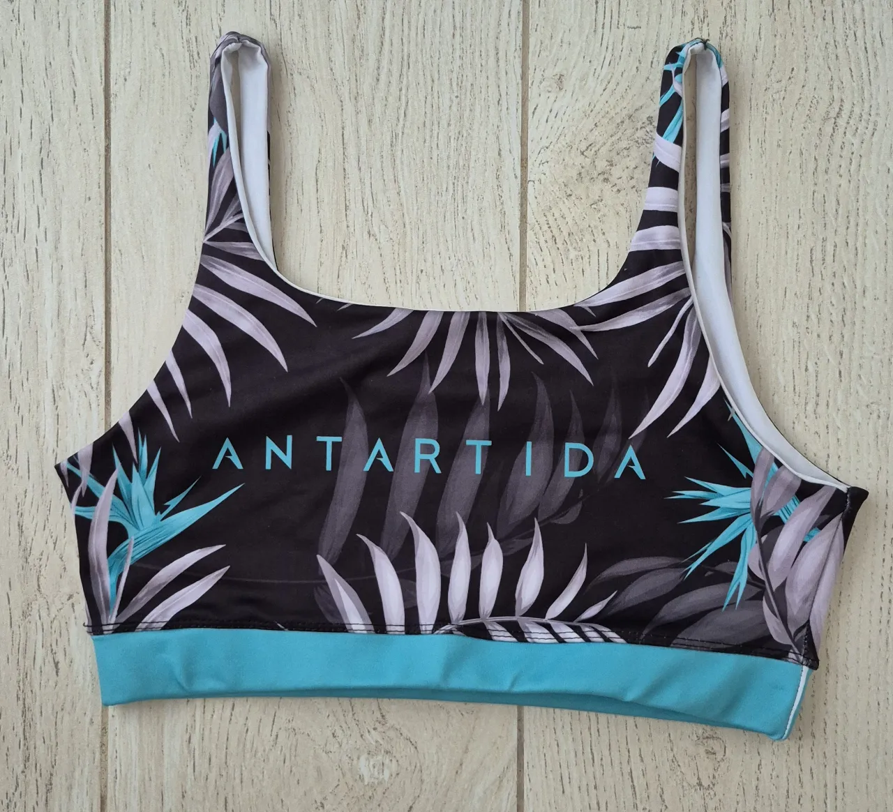 Top Antartida - imagen 1