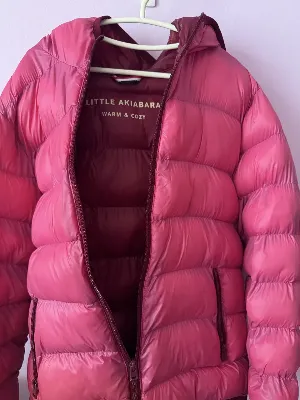 Little akiabara