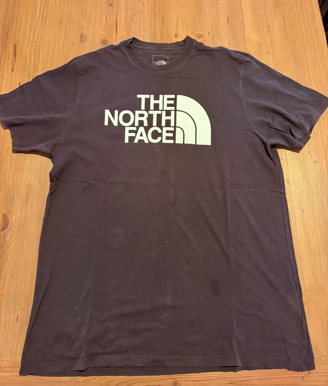 Remera The North Face - imagen 1