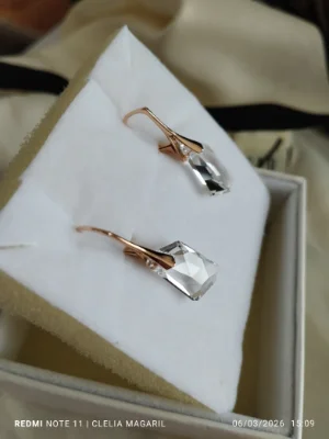 Swarovski