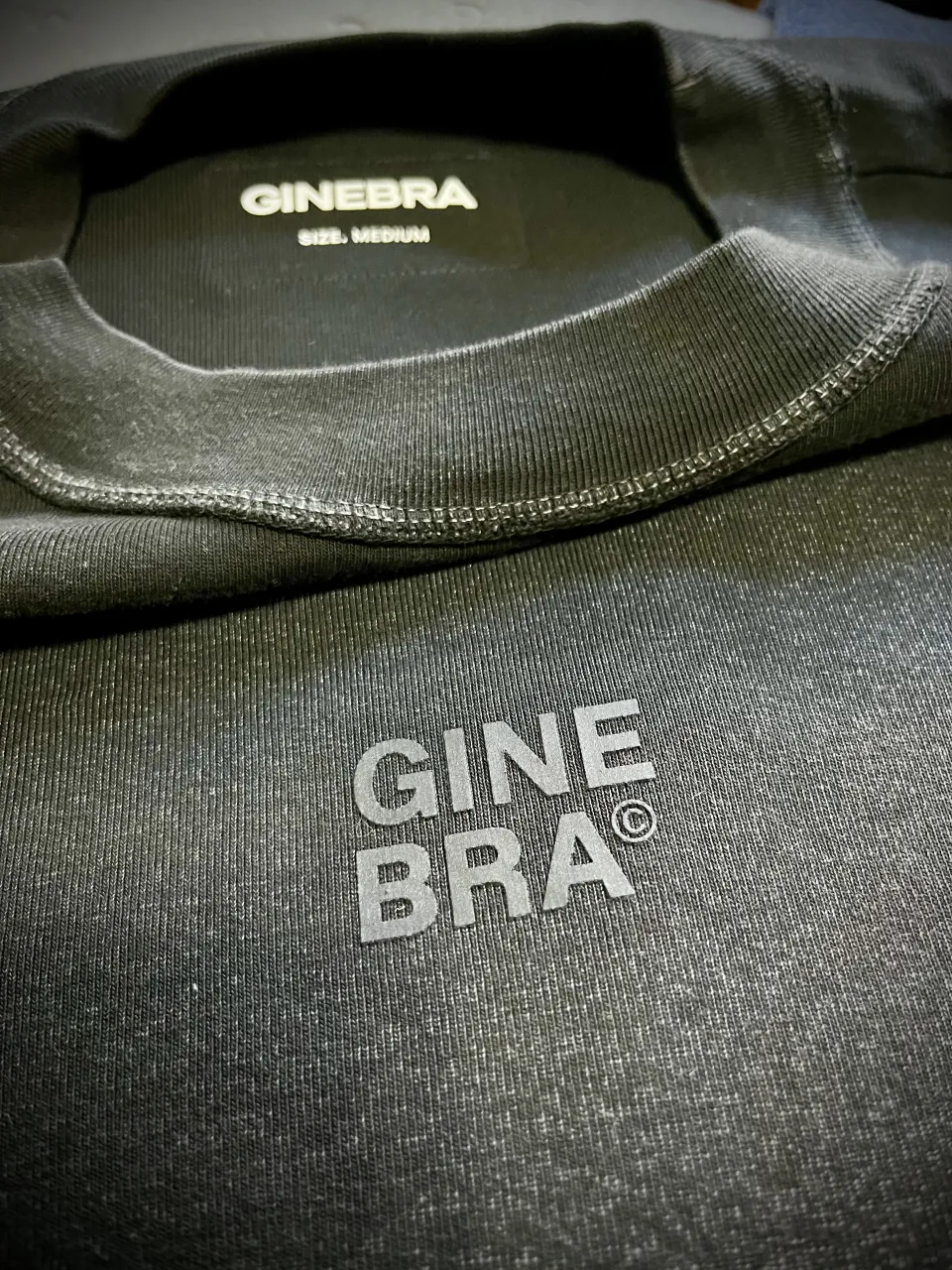 Remera Ginebra - imagen 3