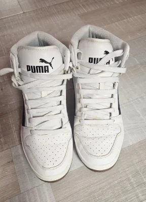 Puma