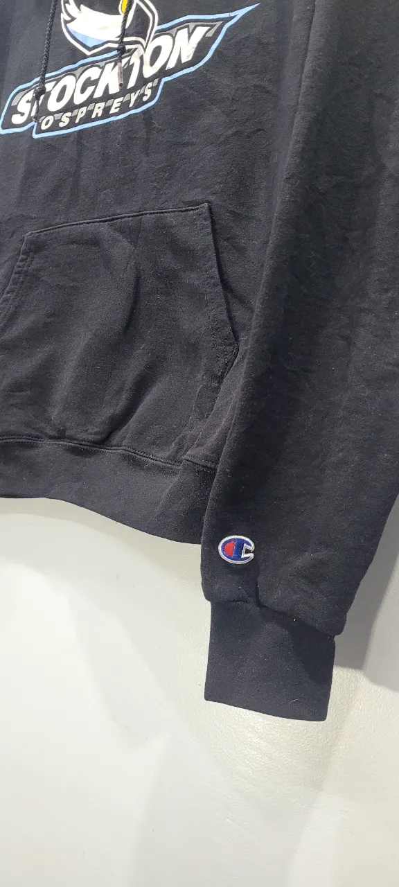 Buzo Champion - Vista 2