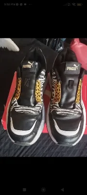 Puma