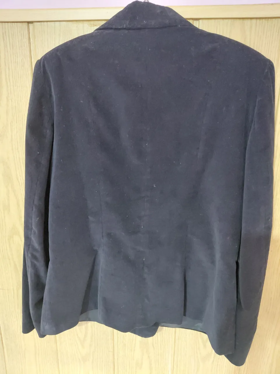 Blazer Piel de manzana - imagen 3