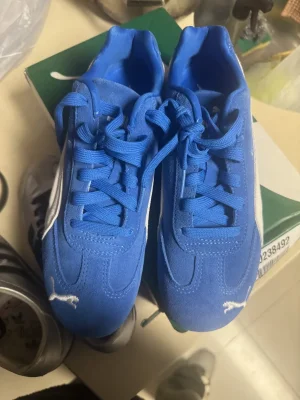 Puma