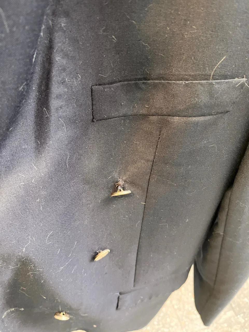 Blazer Vintage - imagen 3