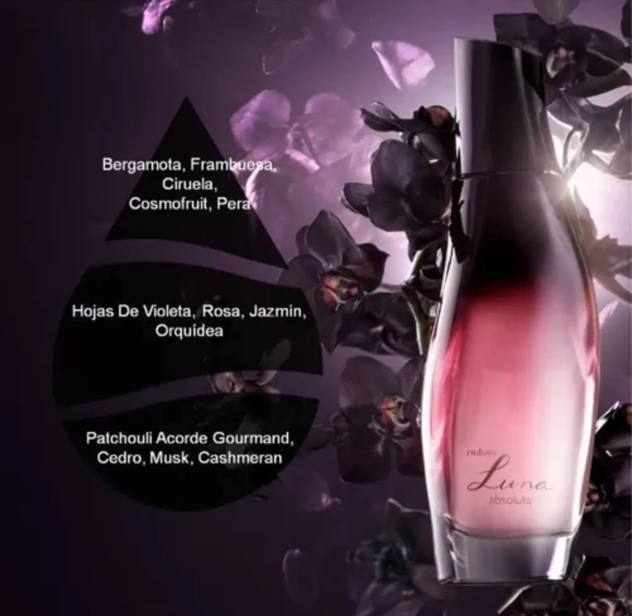 Campera Natura - imagen 2
