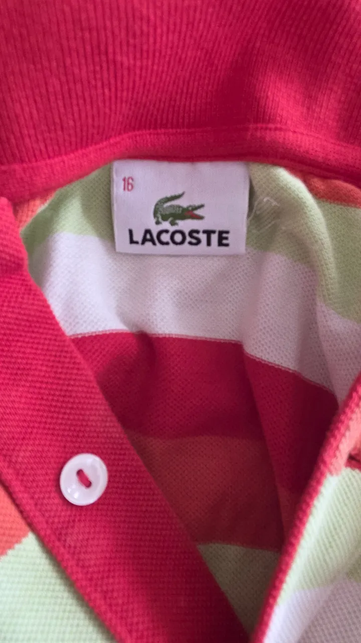 Remera Lacoste - imagen 3