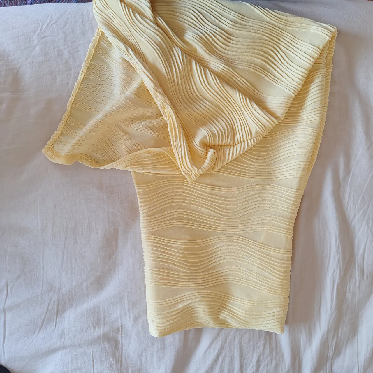 Pollera A.a.a - Vista 2