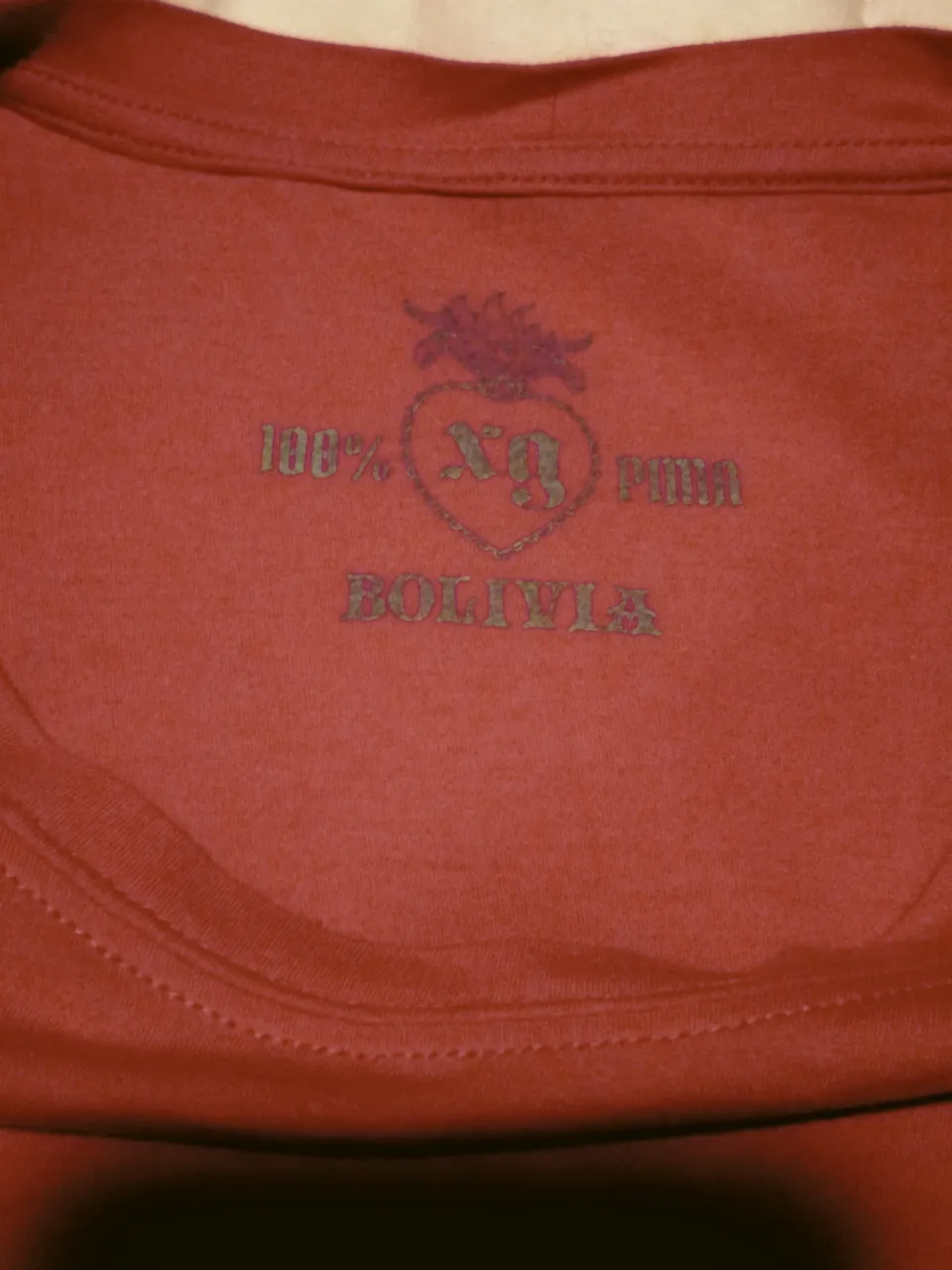 Remera Bolivia - imagen 2