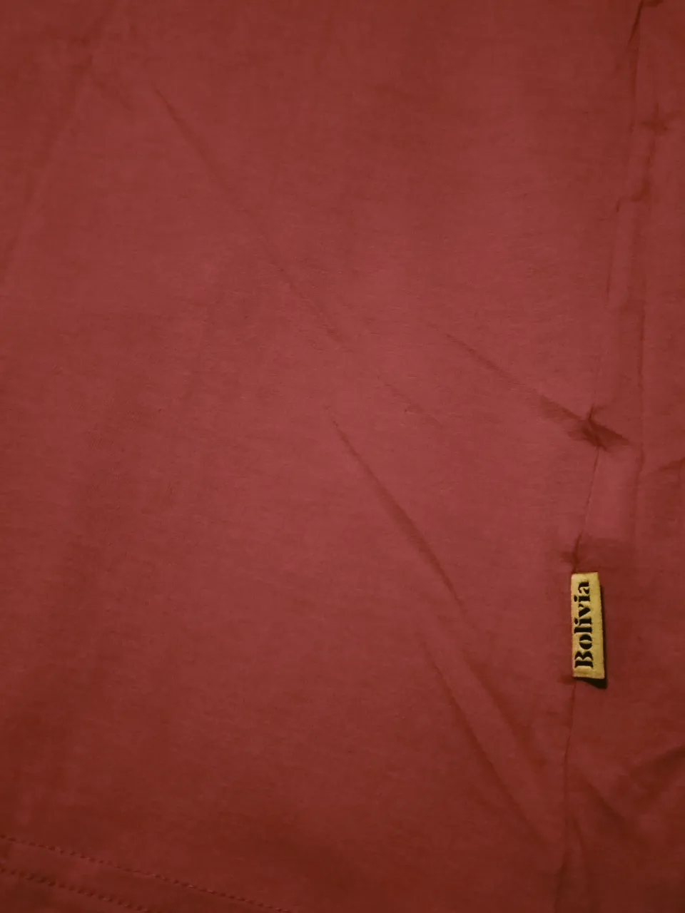 Remera Bolivia - imagen 3