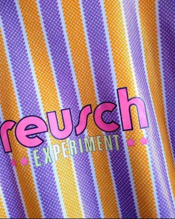Remera Reusch - imagen 2