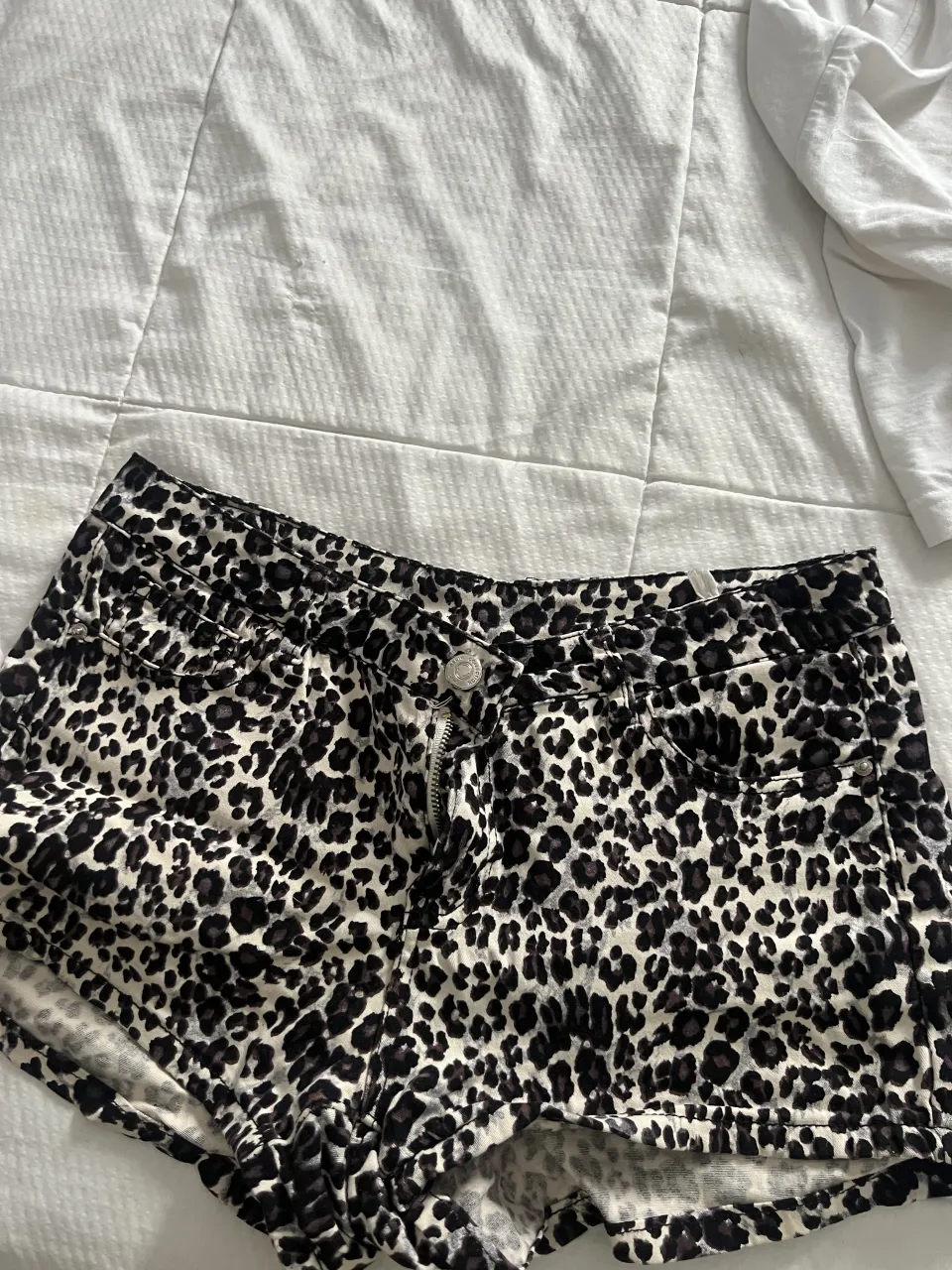 Short CHIC - imagen 1